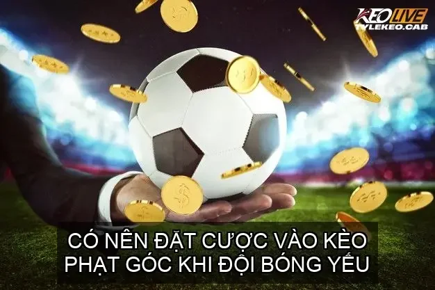 bat mi chien thuat meo soi keo phat goc theo loi choi 68ca7c92e6437
