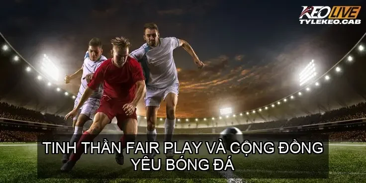 Tinh Thần Fair Play và Cộng Đồng Yêu Bóng Đá