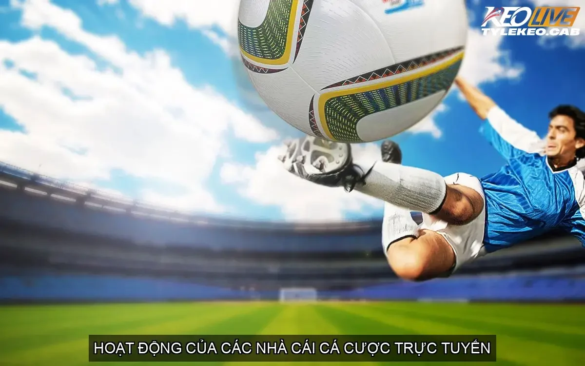 ca cuoc bong da online nha cai co hop phap o vn 68ca7c766e74b
