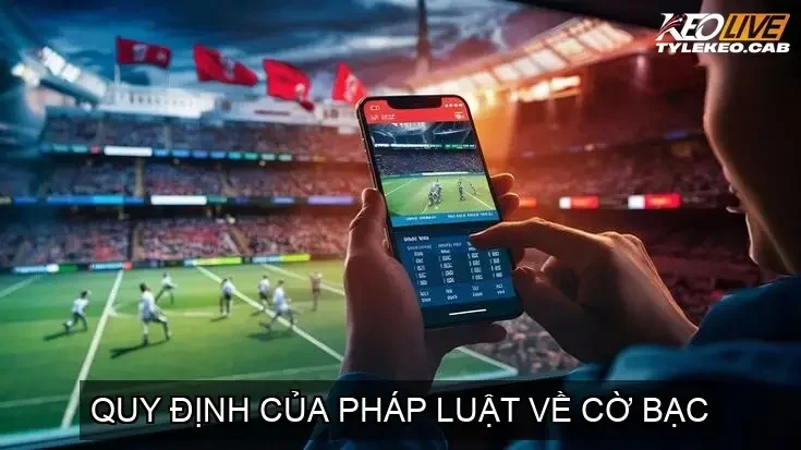 ca cuoc bong da online nha cai co hop phap o vn 68ca7c767b001
