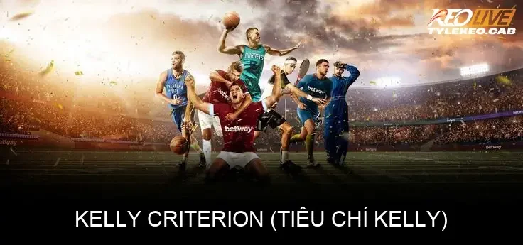 Kelly Criterion (Tiêu Chí Kelly)