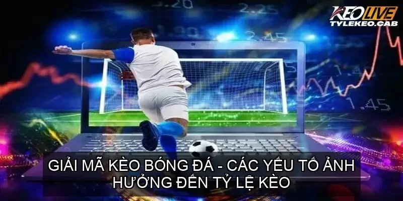 cac yeu to anh huong den ty le keo 68ca7ca040f20