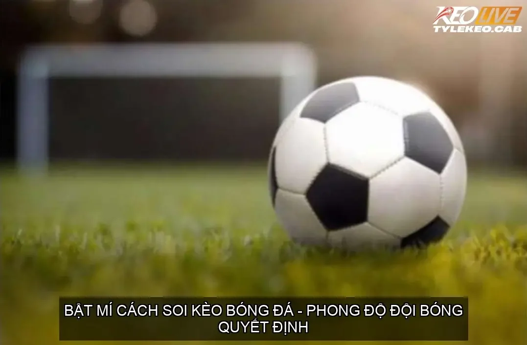 cach soi keo bong da phong do doi bong 68ca7c95a8bcd
