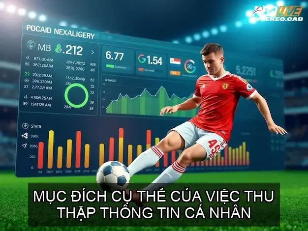 Mục Đích Cụ Thể của Việc Thu Thập Thông Tin Cá Nhân