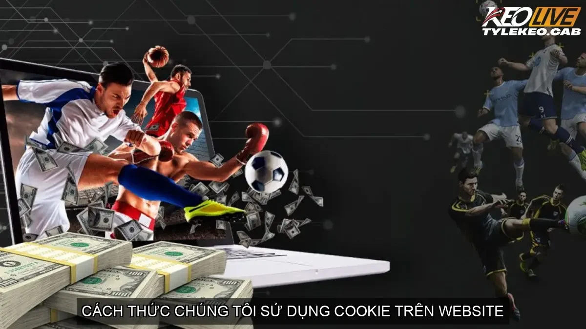 Cách Thức Chúng Tôi Sử Dụng Cookie Trên Website