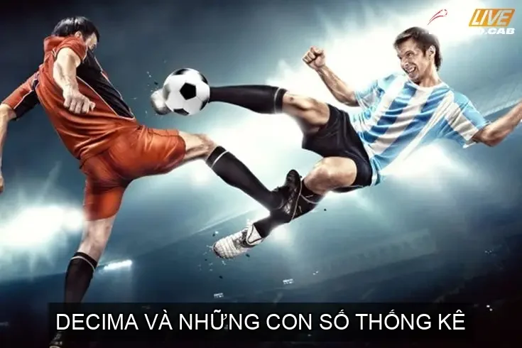 Decima và Những Con Số Thống Kê