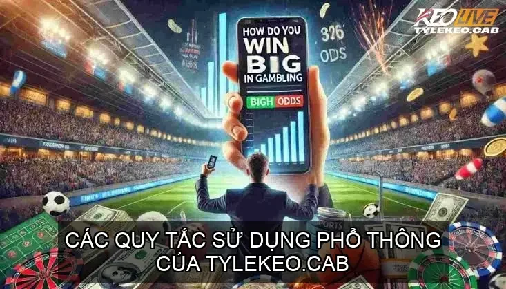 Các Quy Tắc Sử Dụng Phổ Thông của Tylekeo.cab