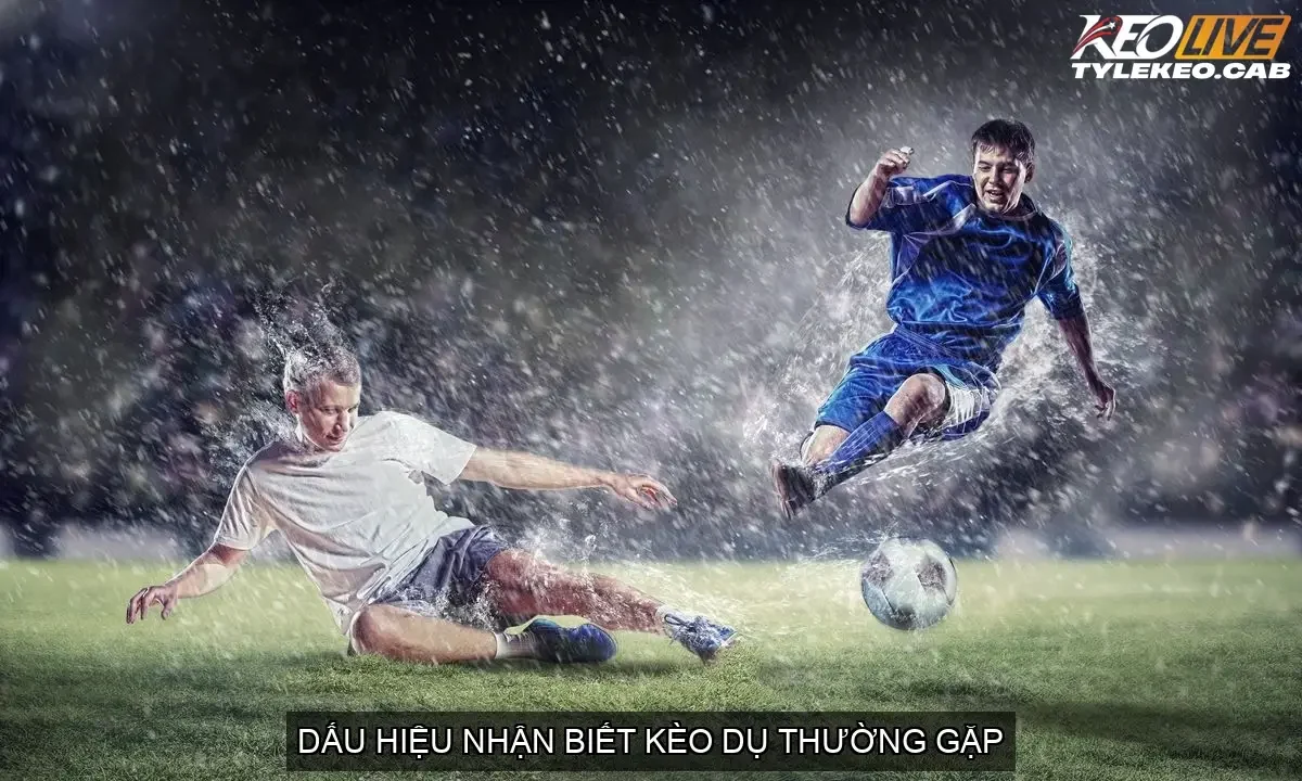 Dấu Hiệu Nhận Biết Kèo Dụ Thường Gặp