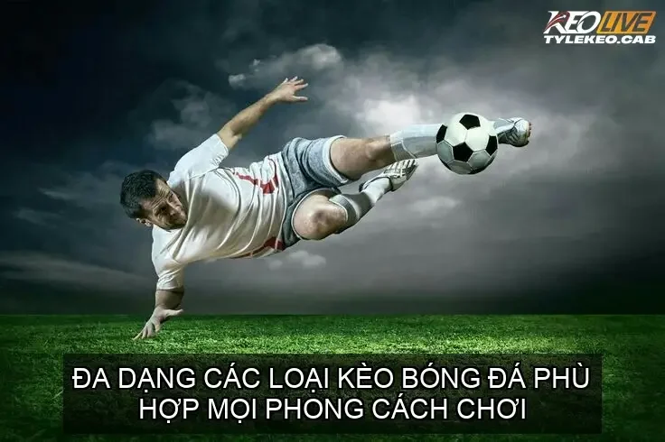 Đa dạng các loại kèo bóng đá phù hợp mọi phong cách chơi