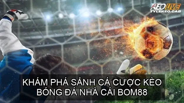 keo bong da bom88 68ca7cd9cd057