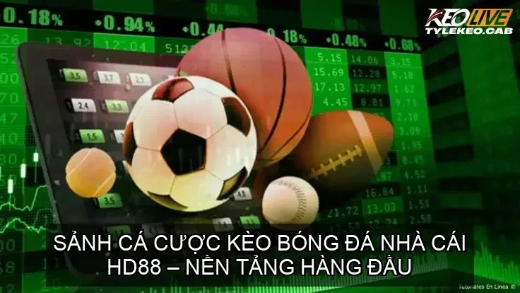 keo bong da hd88 68ca7cee61418