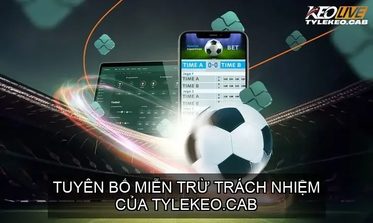 Tuyên Bố Miễn Trừ Trách Nhiệm của Tylekeo.cab Liên Quan Đến Lỗi Từ Phía Người Dùng