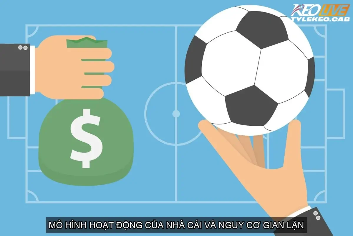 Mô Hình Hoạt Động Của Nhà Cái và Nguy Cơ Gian Lận