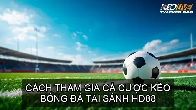 Cách tham gia cá cược kèo bóng đá tại sảnh HD88