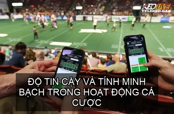 Độ tin cậy và tính minh bạch trong hoạt động cá cược