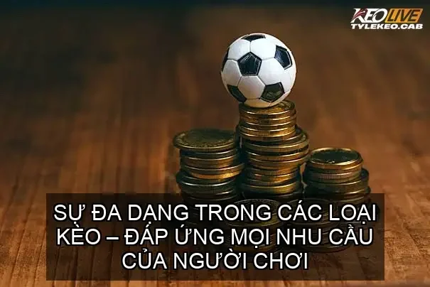 Sự đa dạng trong các loại kèo – Đáp ứng mọi nhu cầu của người chơi