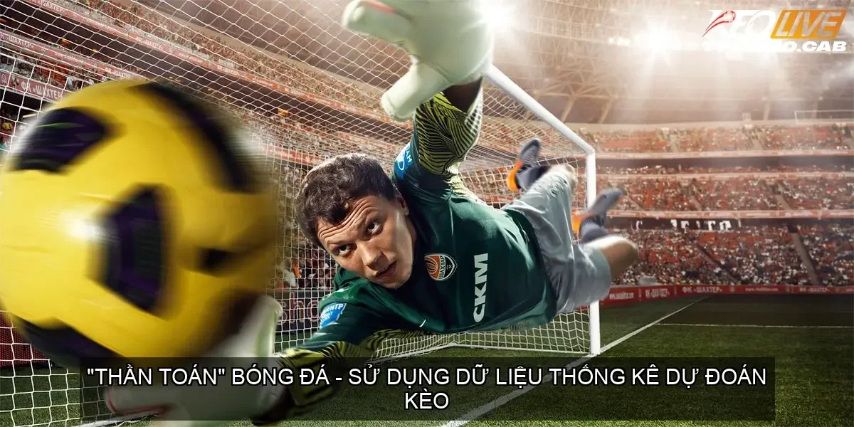 su dung du lieu thong ke du doan keo 68ca7c8451872