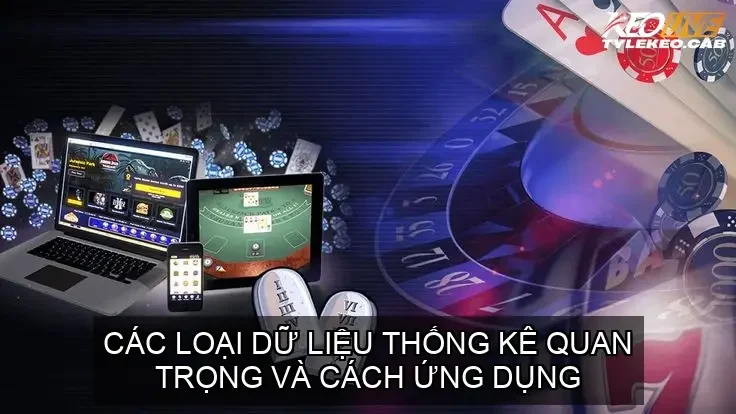Các Loại Dữ Liệu Thống Kê Quan Trọng và Cách Ứng Dụng