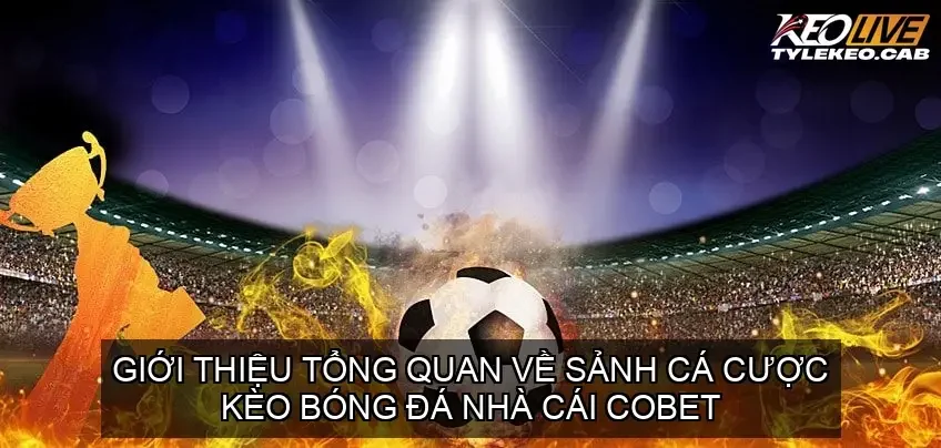 Giới thiệu tổng quan về Sảnh cá cược kèo bóng đá nhà cái COBET