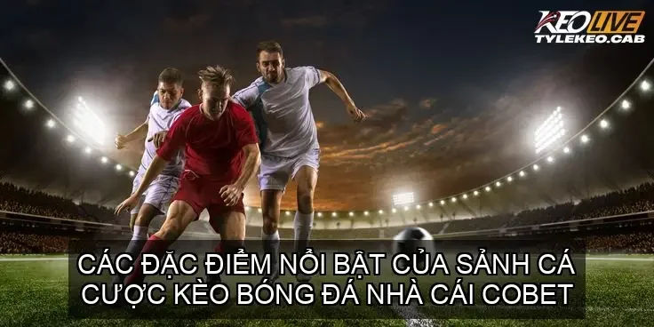 Các đặc điểm nổi bật của Sảnh cá cược kèo bóng đá nhà cái COBET