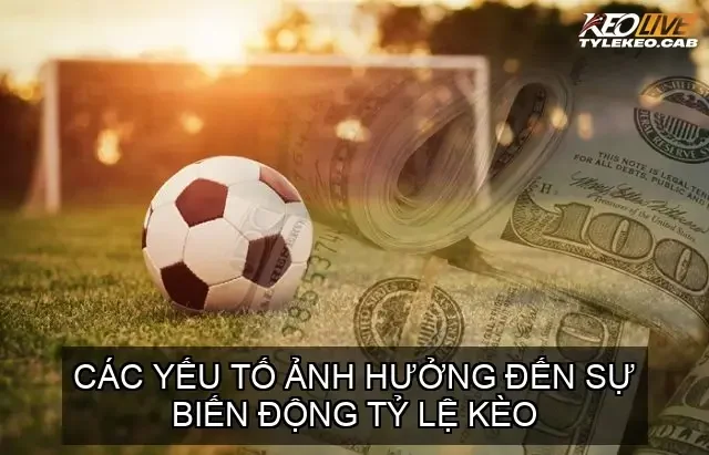 Các yếu tố ảnh hưởng đến sự biến động tỷ lệ kèo