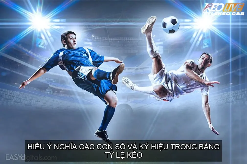Hiểu ý nghĩa các con số và ký hiệu trong bảng tỷ lệ kèo