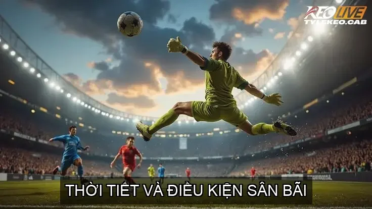 Thời tiết và điều kiện sân bãi