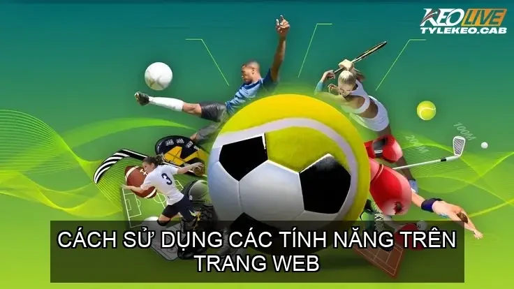 Cách sử dụng các tính năng trên trang web